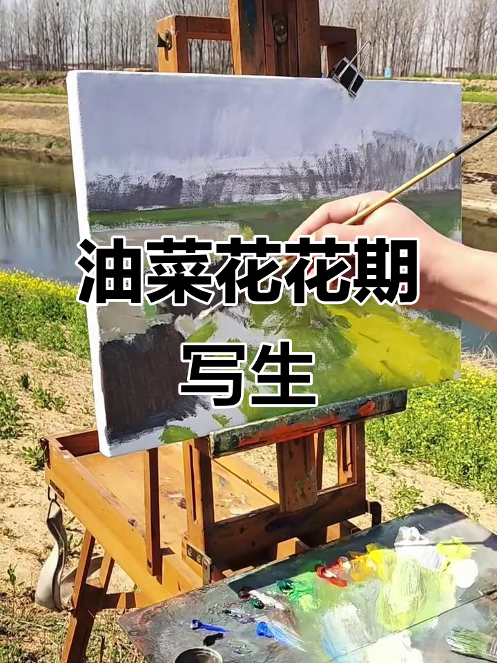 春日油菜花写生,捕捉明媚水畔景色