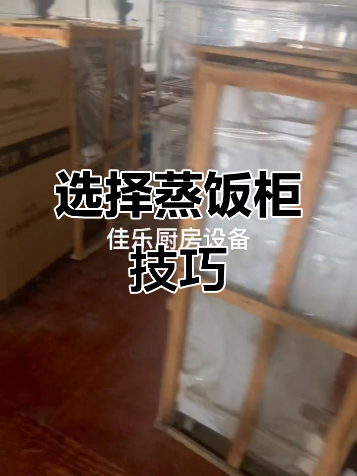蒸饭柜选择指南:从单机到电脑型,哪种最适合你?