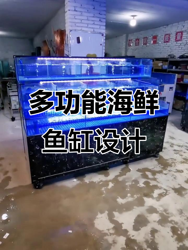 海鲜鱼缸设计全解析:透明背面、推拉门,功能一应俱全