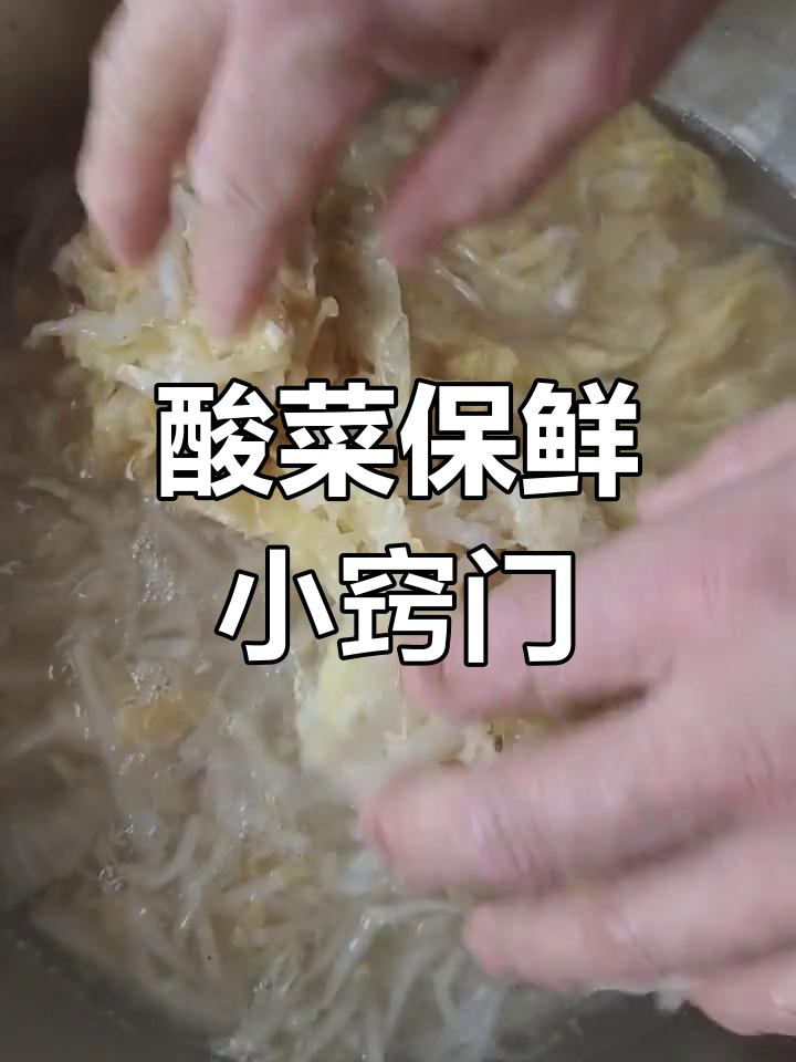 春季酸菜处理法:切丝泡水,清洗冷冻,保持清新无异味