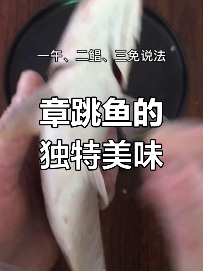 一年只有一个月能吃到的章跳鱼,南方人最爱!