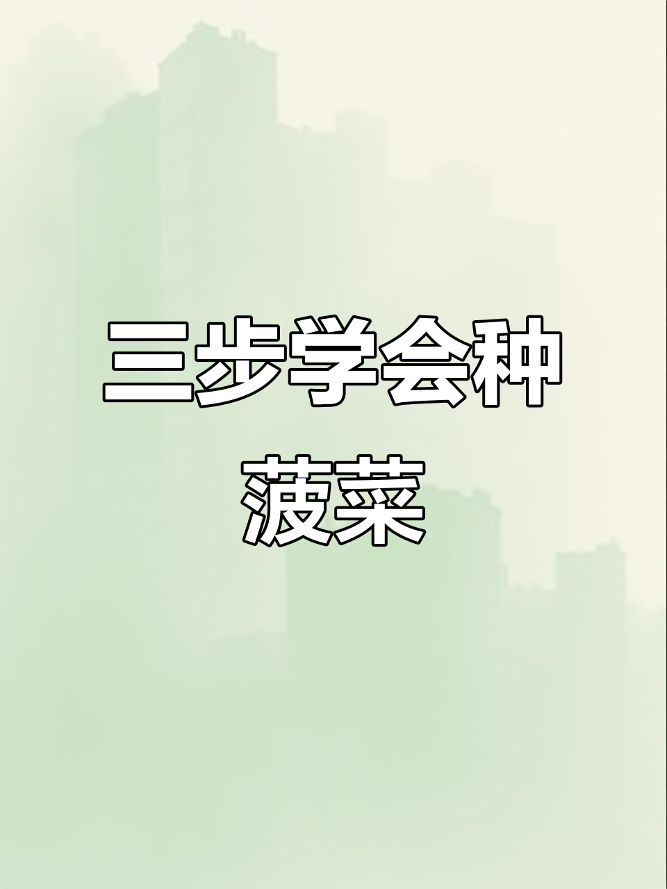轻松三步教你种出美味菠菜,步骤超简单