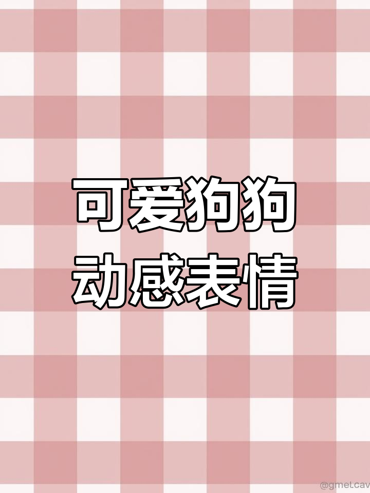 表情包狗狗动图大赏,萌态十足!