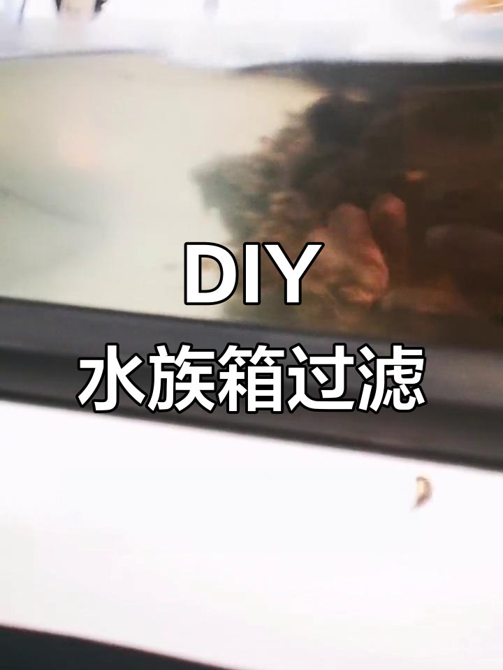 自制水族箱过滤器,简单又实用