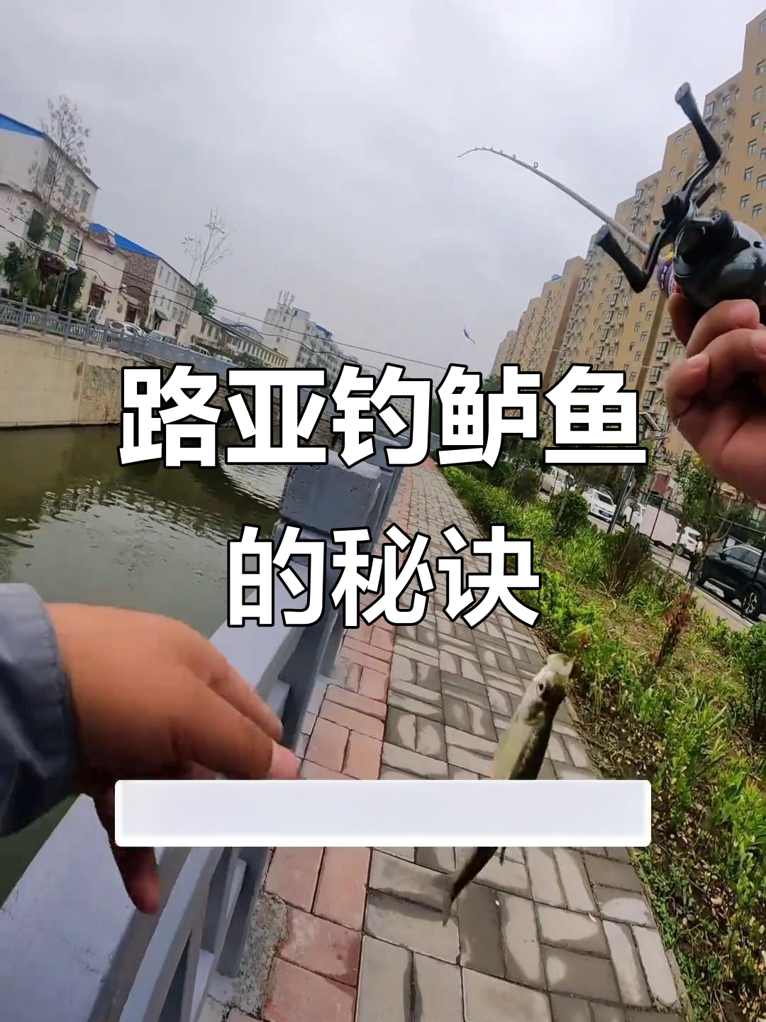 微物路亚技巧大揭秘:如何用亮片轻松钓鲈鱼