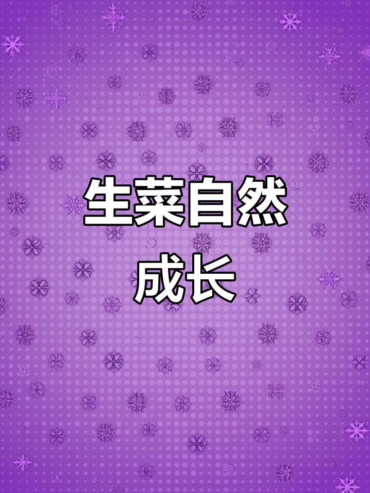 47天无肥生菜实验,见证自然生长的极限