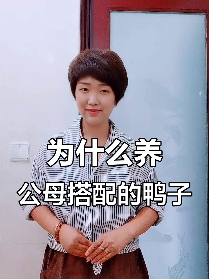 公鸭在蛋鸭养殖中的三大作用,你知道吗?