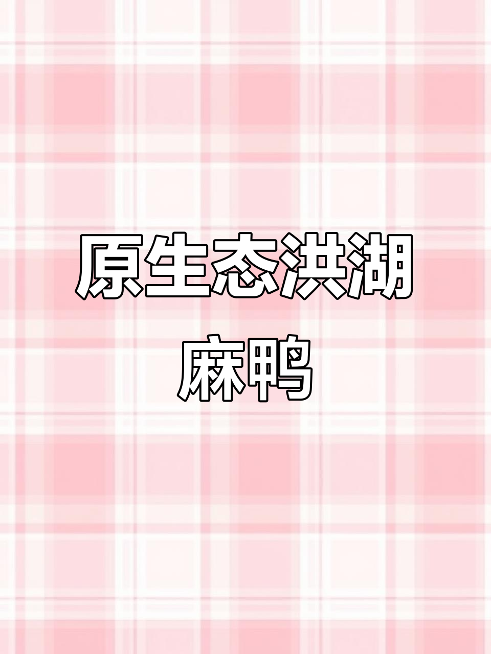 洪湖稻田麻鸭,原生态散养美味鲜美