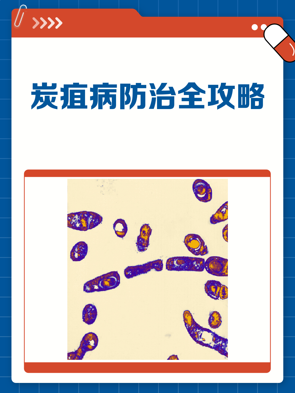 炭疽病来袭?了解症状与预防,守护健康!