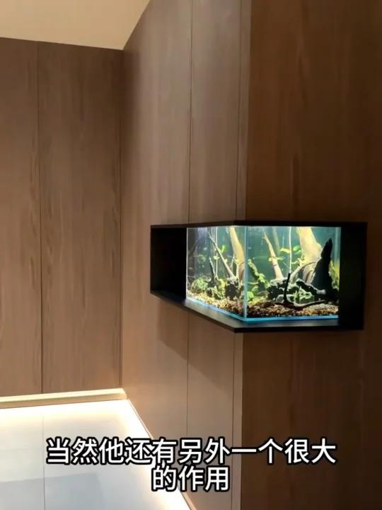 家里最放松的玄关