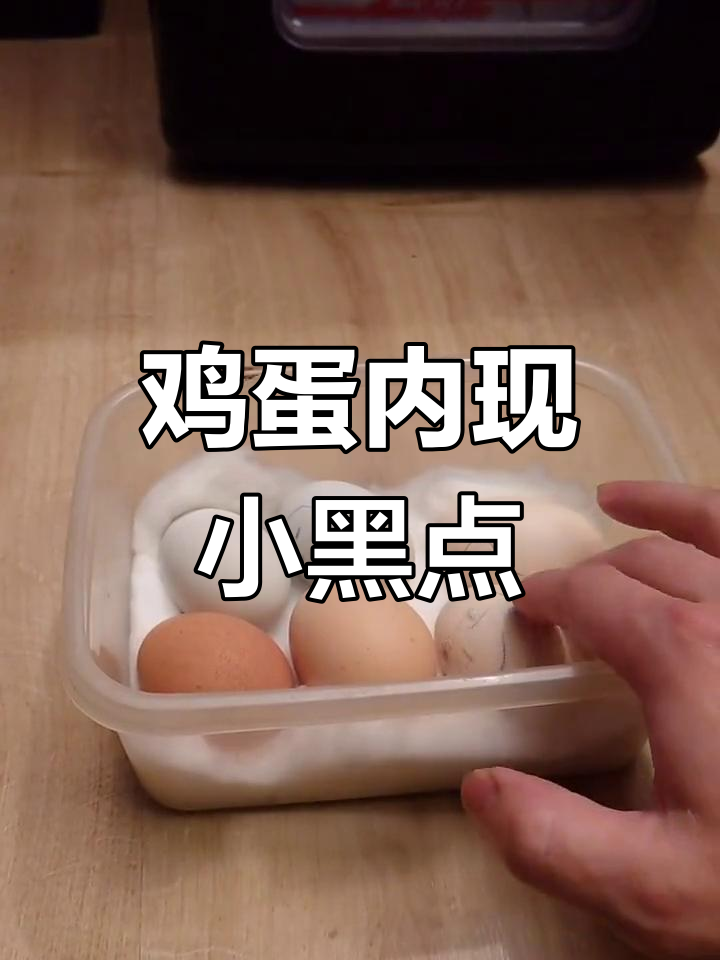 小鸡孵化第四天,血丝出现