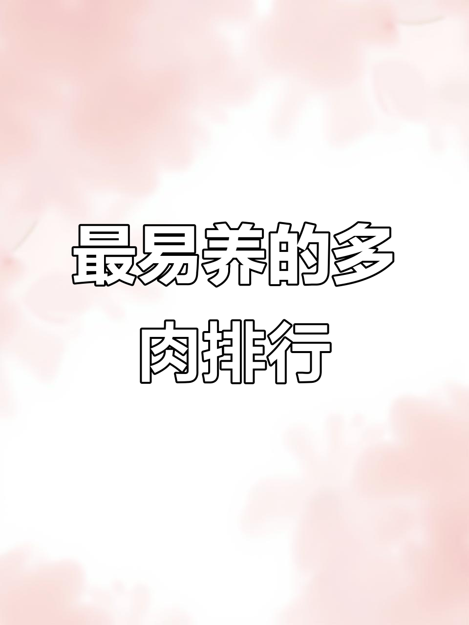 多肉植物养护排名,哪些最适合新手?