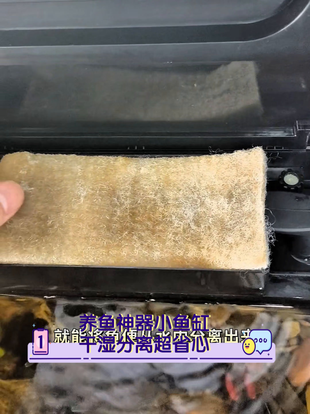养鱼神器小鱼缸,干湿分离超省心