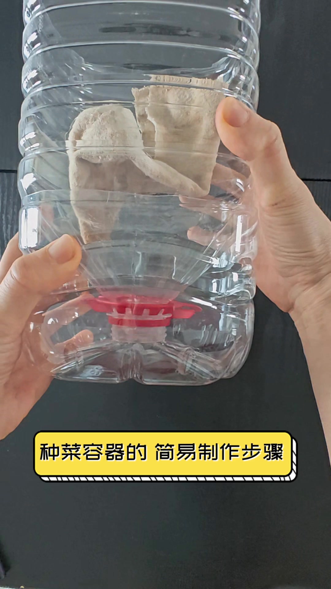 种菜容器的,简易制作步骤