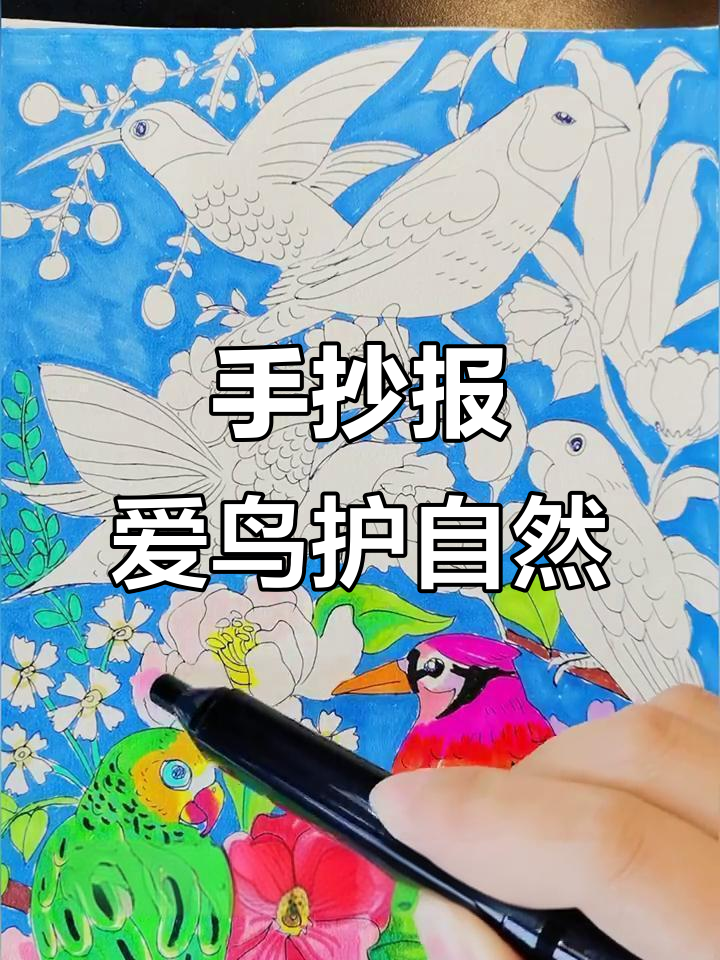 保护鸟类手抄报,简单又有趣!