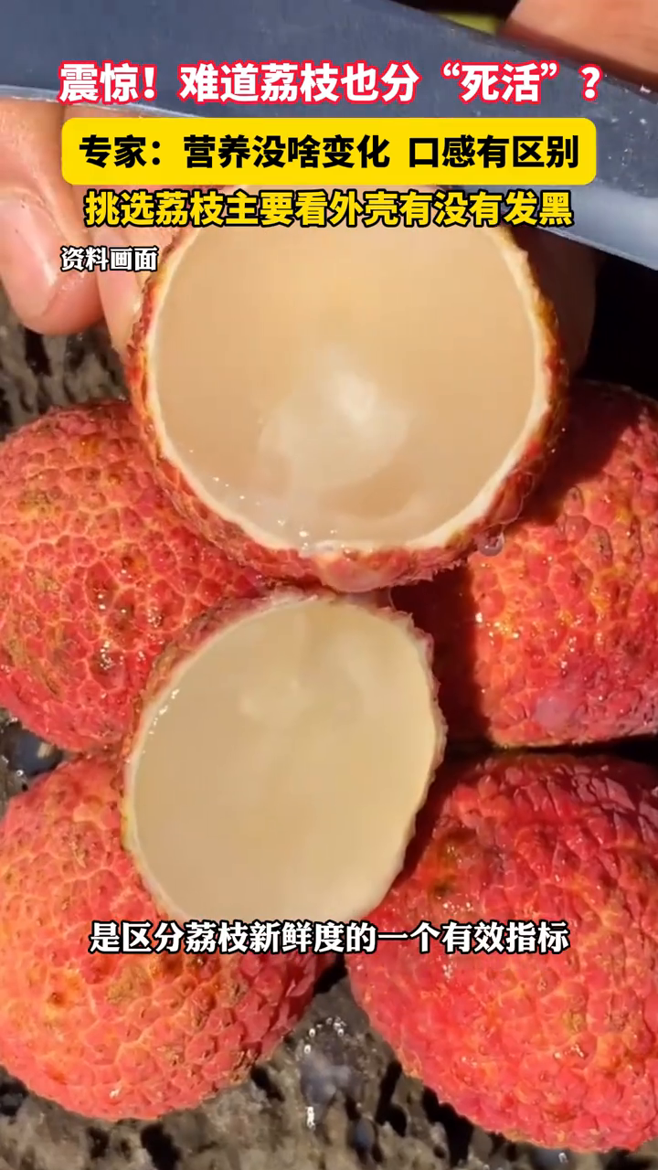 震惊!难道荔枝也分“死活”?专家:营养没啥变化