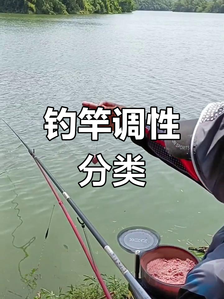 钓鱼竿调性解析:如何选择适合的鱼竿