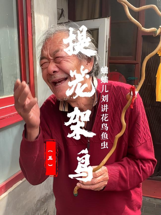 蛐蛐儿刘语录:什么时候玩什么东西,什么鸟用什么家伙事儿。我的鸟会说话,我的蛐蛐儿会打架。您