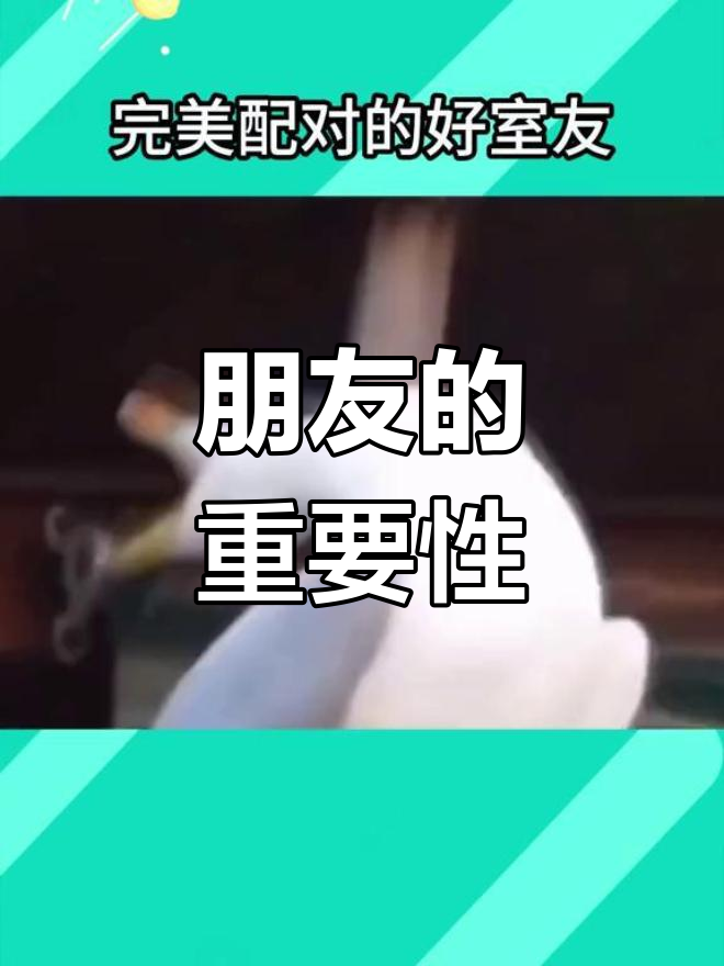 老虎虾与虾虎鱼的完美合作