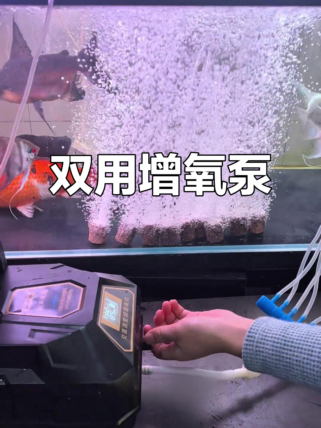 钓鱼必备增氧泵,充电插电两用,保证鱼儿活力满满