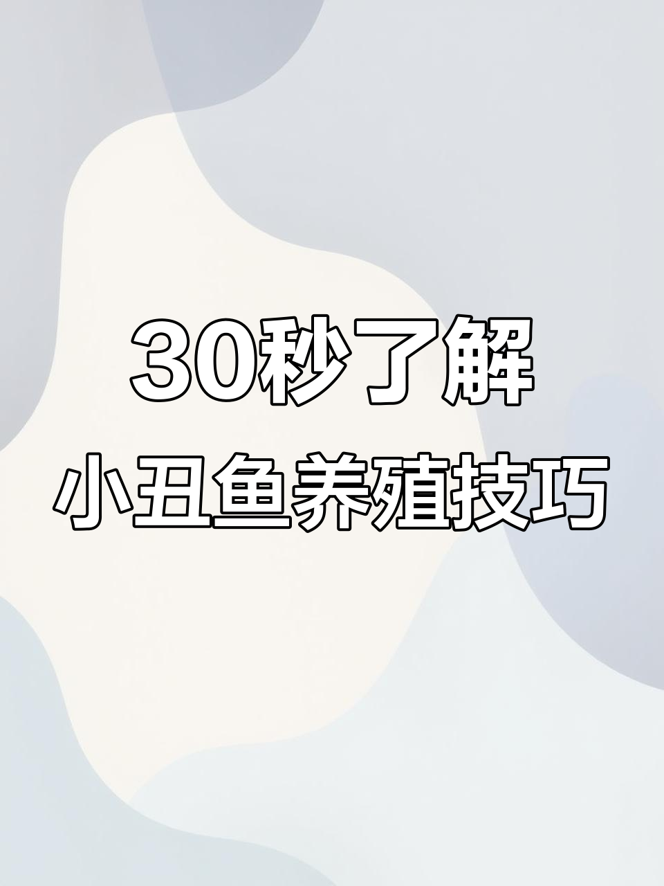 小丑鱼饲养全攻略:盐度、温度、海葵搭配一网打尽