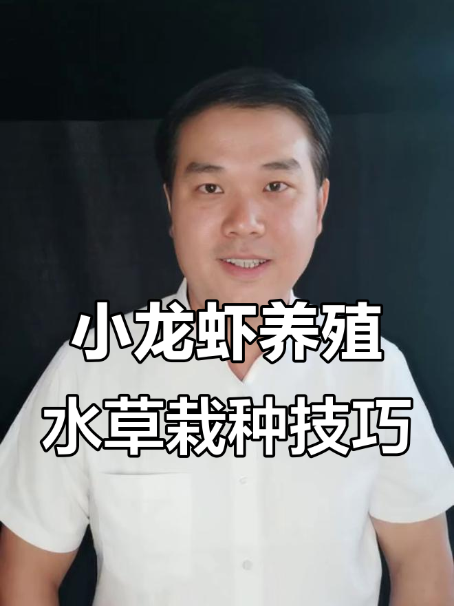 冬季小龙虾池塘水草管理，别让虾沟变“草地”