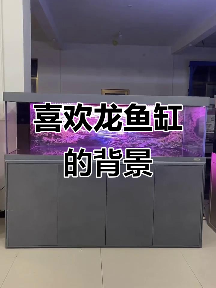 龙鱼缸背景太美了,我也很喜欢!