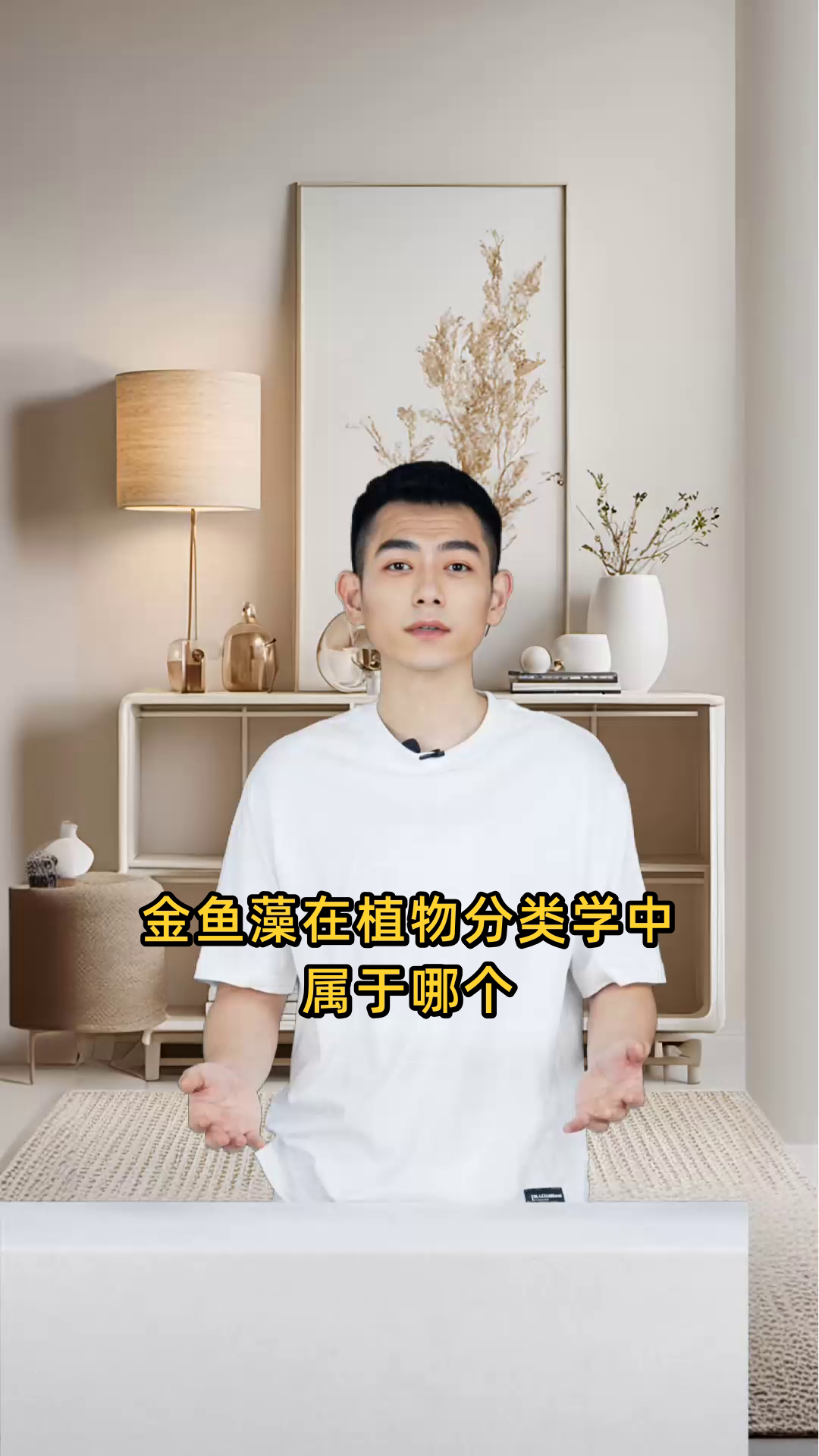 金鱼藻在植物分类学中究竟归属于哪一个具体类别?