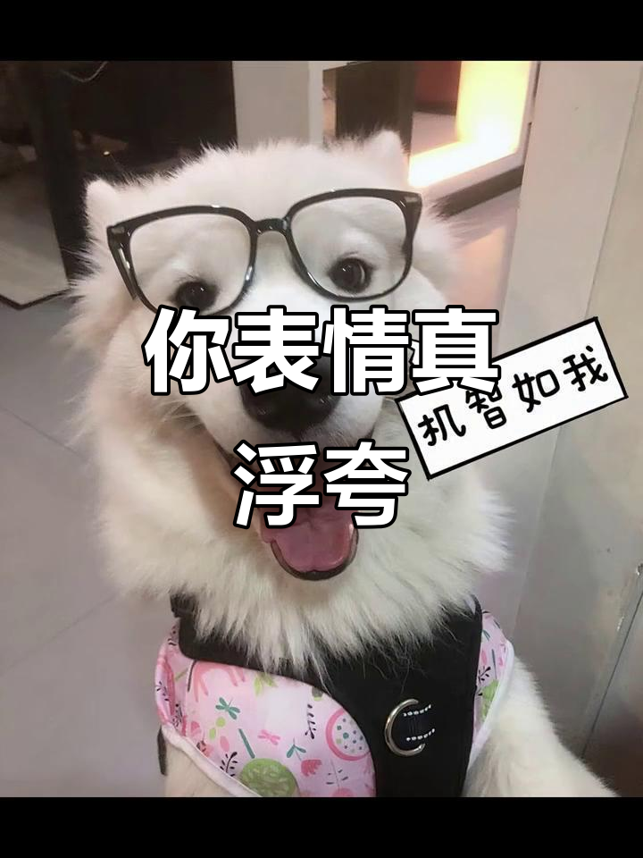 你的表情太夸张,我差点笑出声!