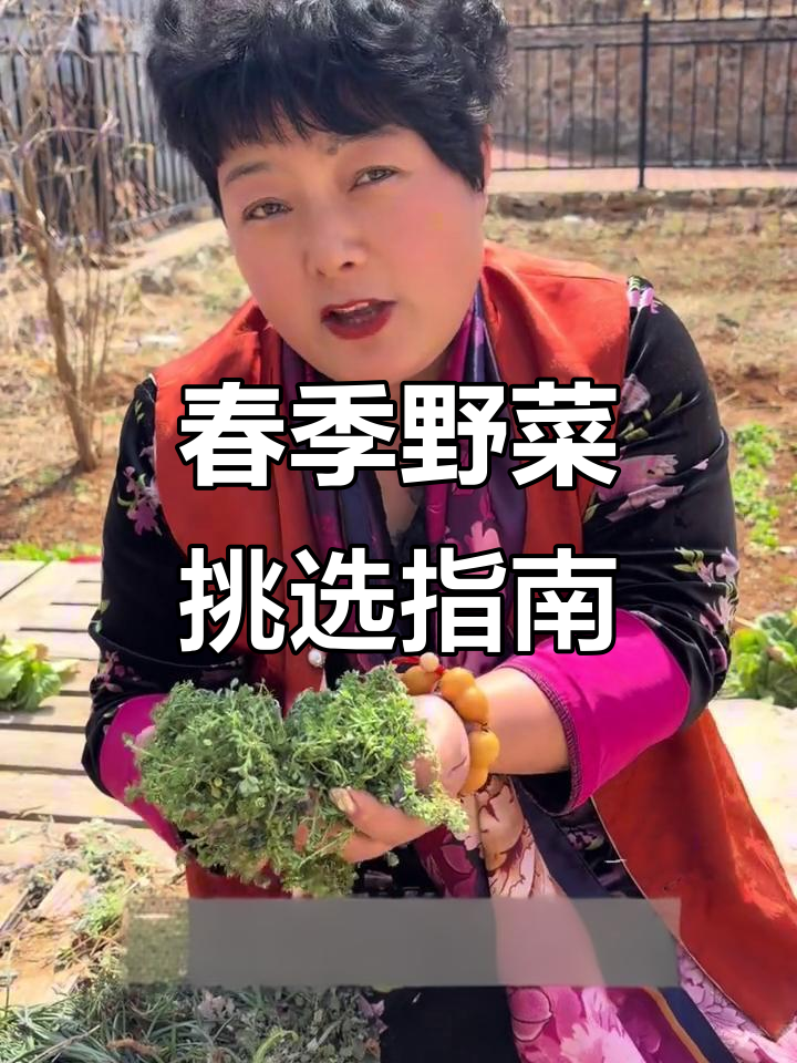 春天野菜大比拼,哪些值得挖?挑对品种才能吃得好又值!