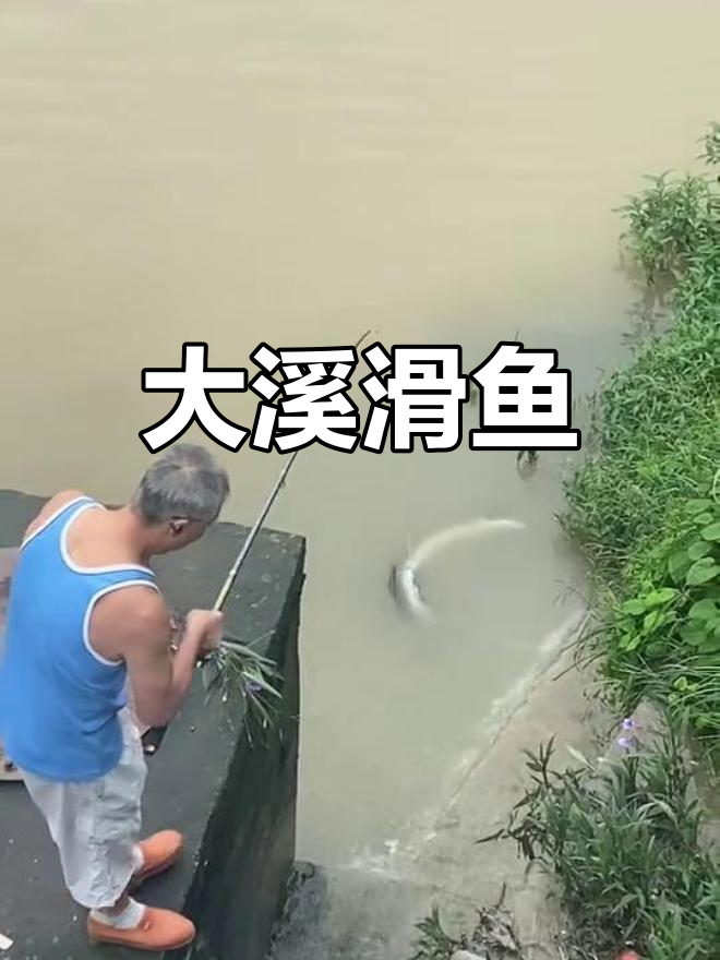 溪滑大鱼,7斤也不小!