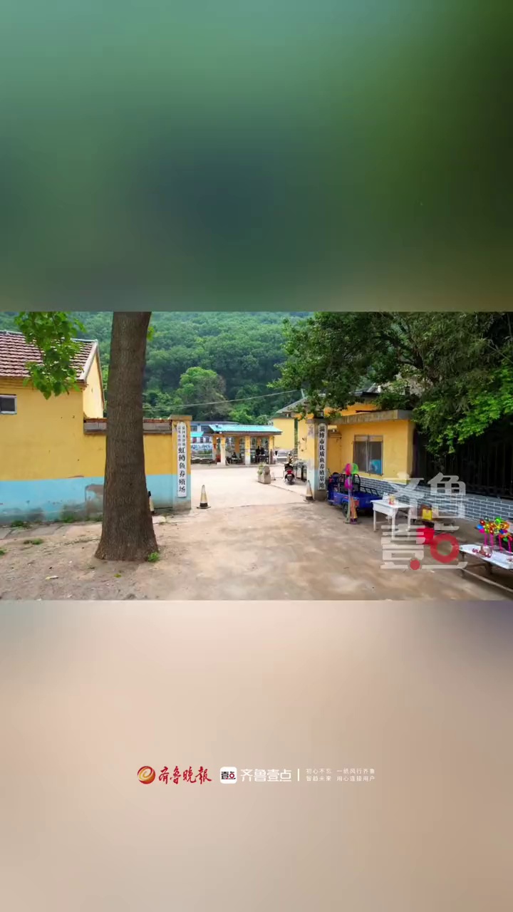 淄博市博山区源泉镇泉河村是一个地处山坳里的村庄,因为养殖虹鳟鱼而闻名,龙净池虹鳟鱼养殖场水