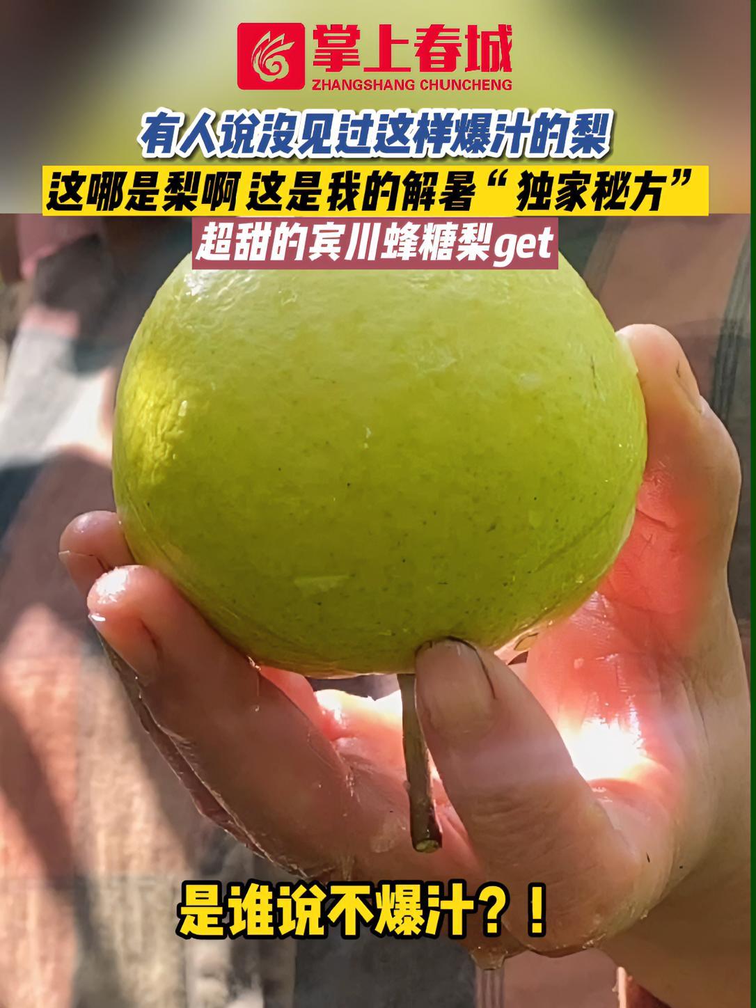 有人说没见过这样爆汁的梨,这哪是梨啊这是我的解暑“独家秘方” 云南特产 吃梨的季节 云南味