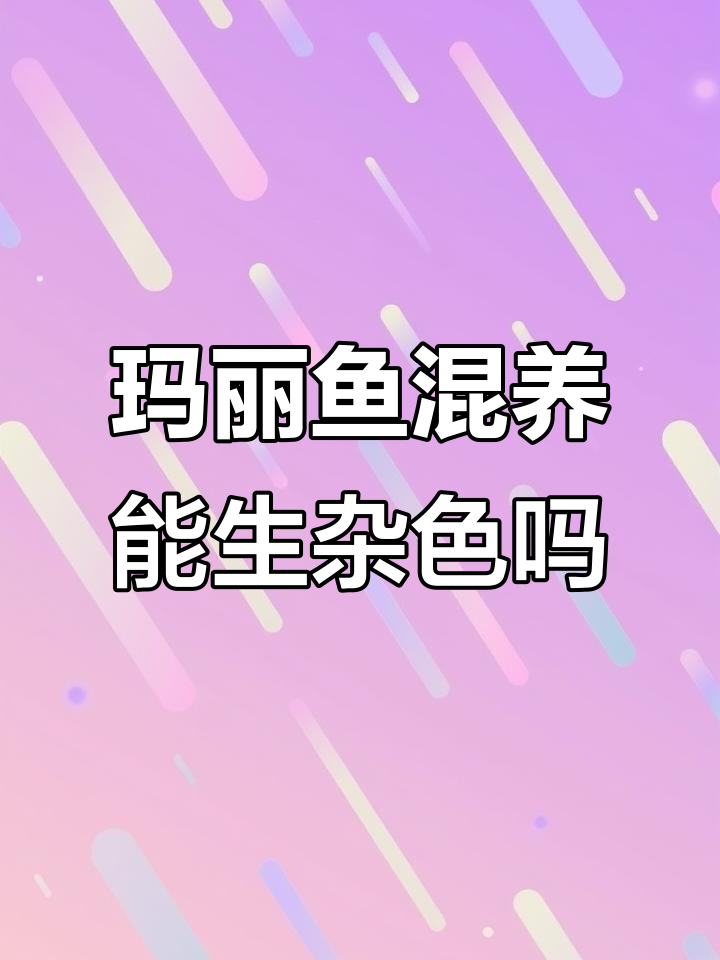 钻眼玛丽鱼混养会串种吗?颜色杂交与纯种的秘密