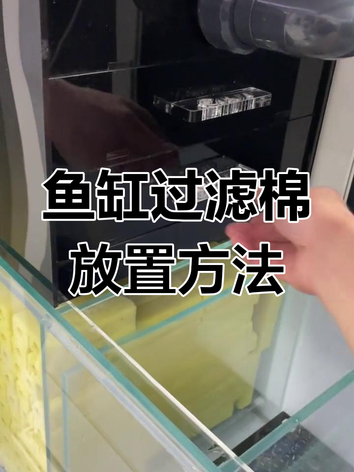 鱼缸过滤棉摆放技巧,干湿分离更高效
