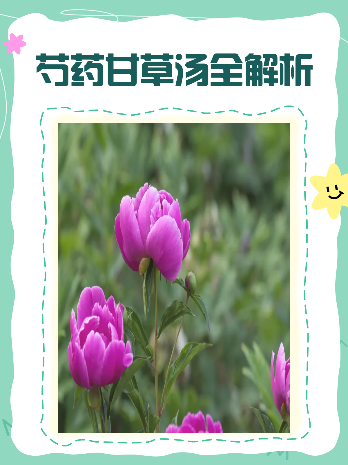 芍药甘草汤的奥秘:养血益阴,缓急止痛的良方!