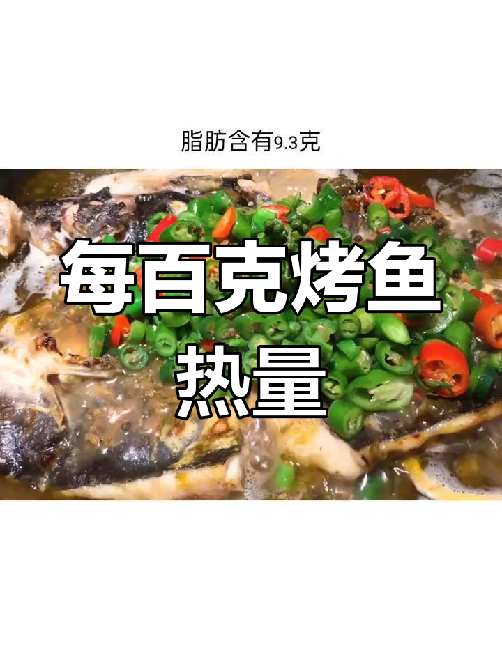 烤鱼热量解析:蛋白质与脂肪含量