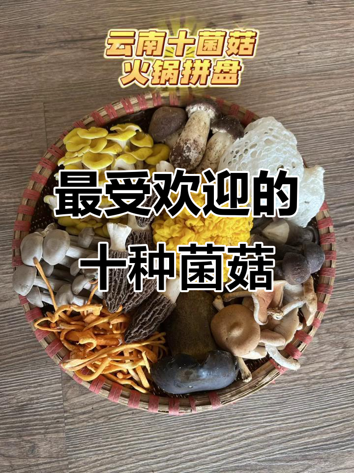 云南人最爱吃的十大菌菇,火锅必备美味拼盘