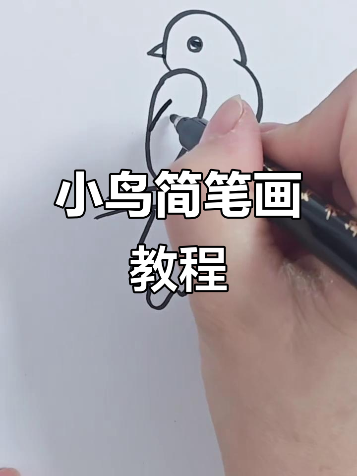 轻松画出可爱渐变色小鸟,简单又有趣