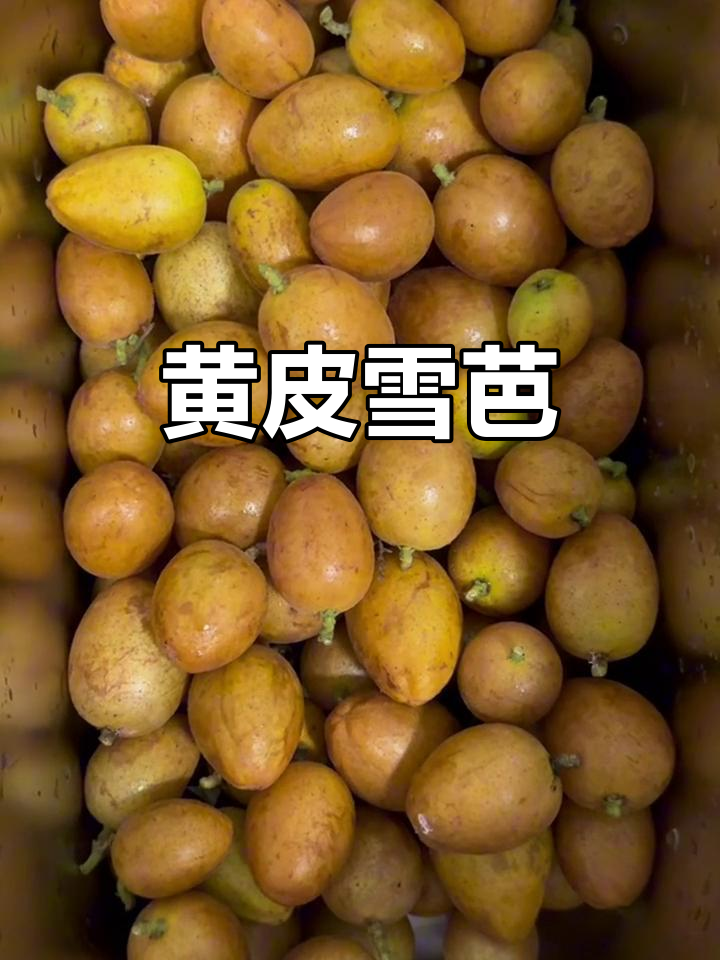 黄皮雪芭,夏日清凉必备,香气扑鼻,消暑解渴