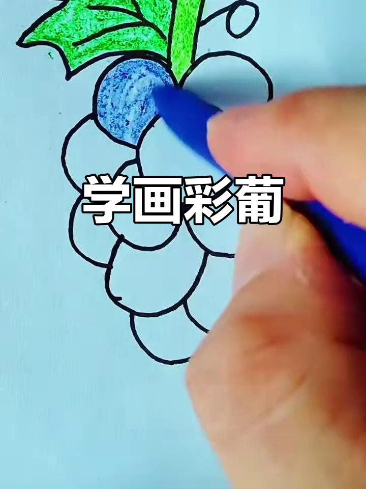 儿童学画彩色葡萄，简单又有趣
