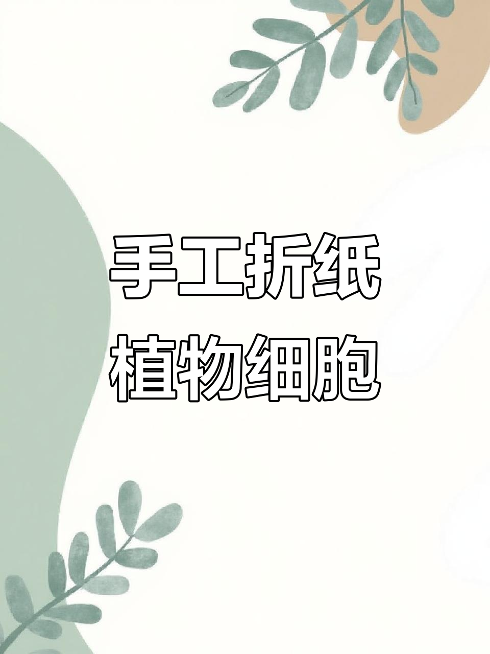 用扭扭棒做植物细胞模型,拆分重组超有趣