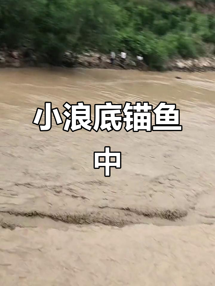 小浪底锚鱼现场,声音嘈杂刺激!