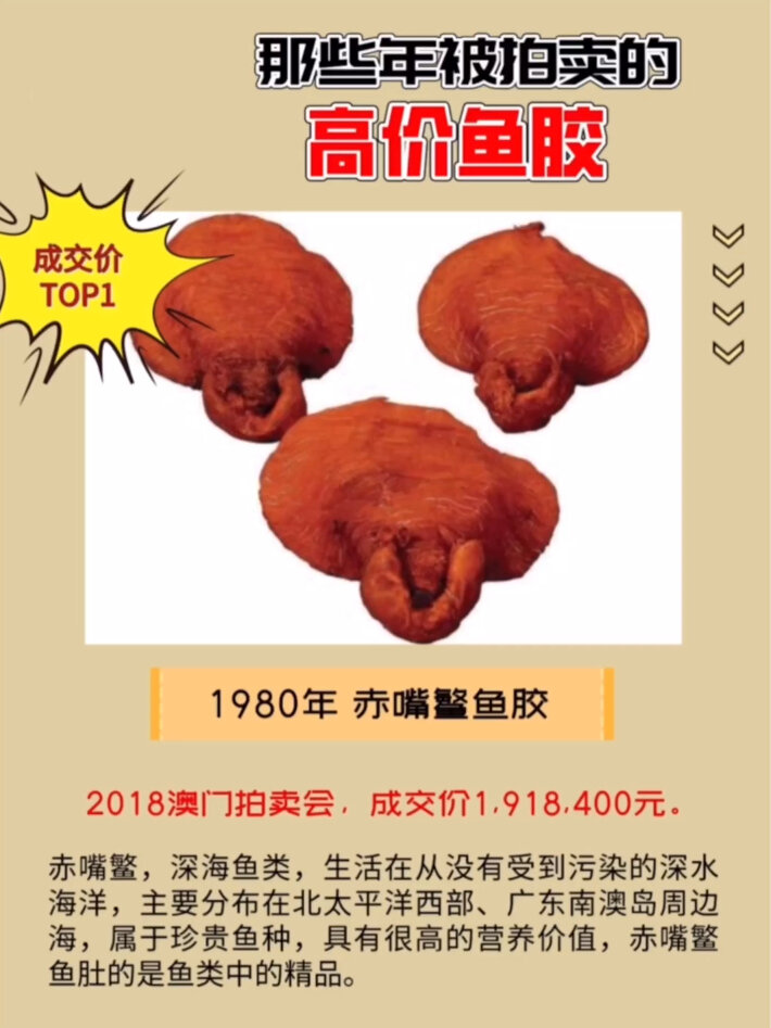 那些年被拍卖的“高价花胶”,一头鱼胶几百万