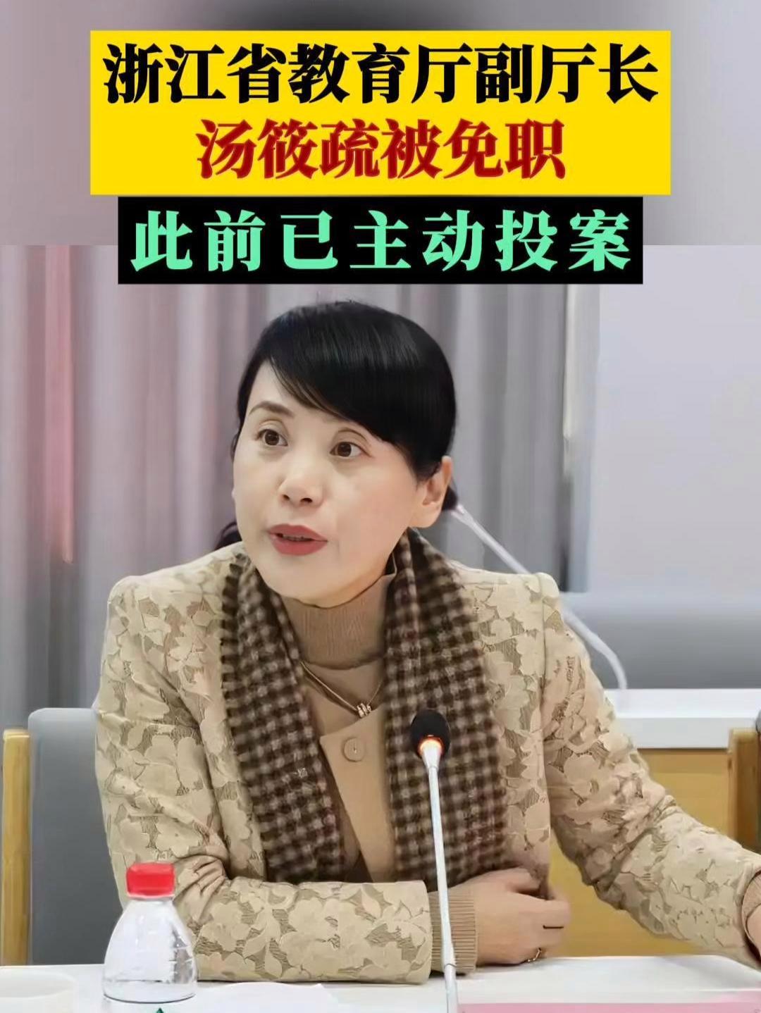 浙江省教育厅副厅长汤筱疏被免职,此前已主动投案 反腐倡廉