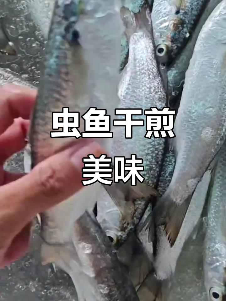 湛江虫鱼干煎,鲜香脆嫩,连骨头都能吃