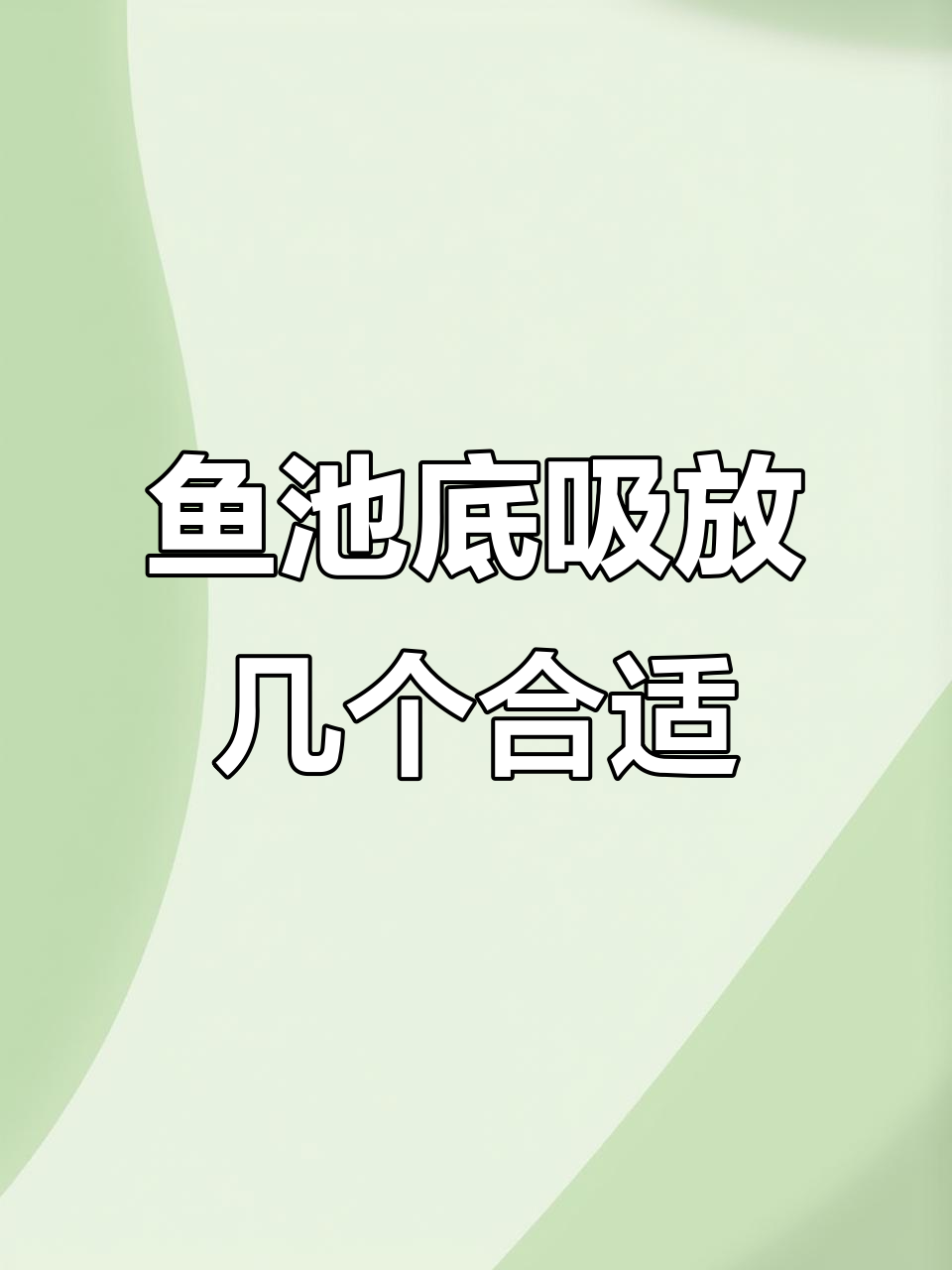 鱼池底吸布局技巧:如何选择合适的数量和位置