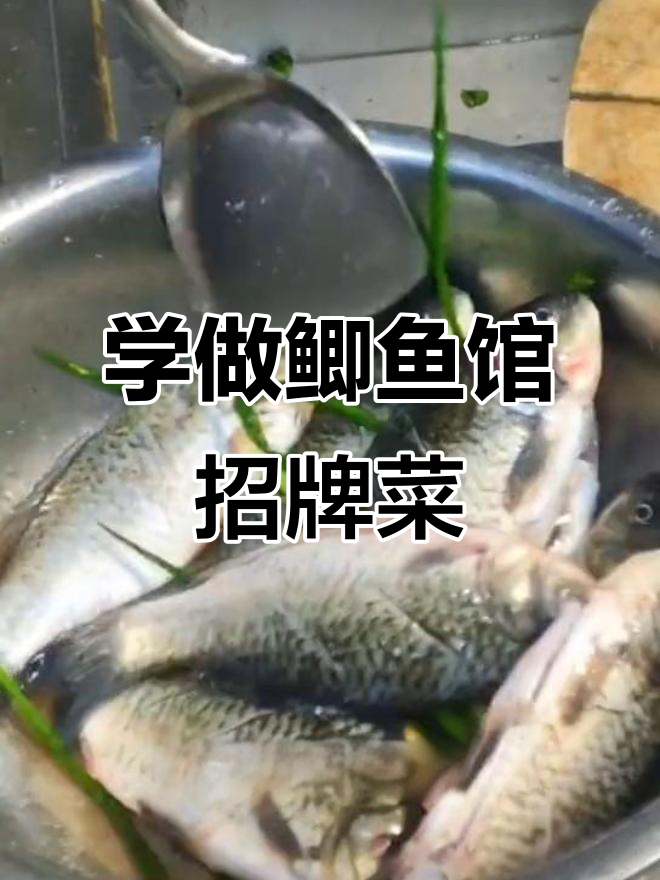 鲫鱼馆百万收入秘诀:教你做正宗美味