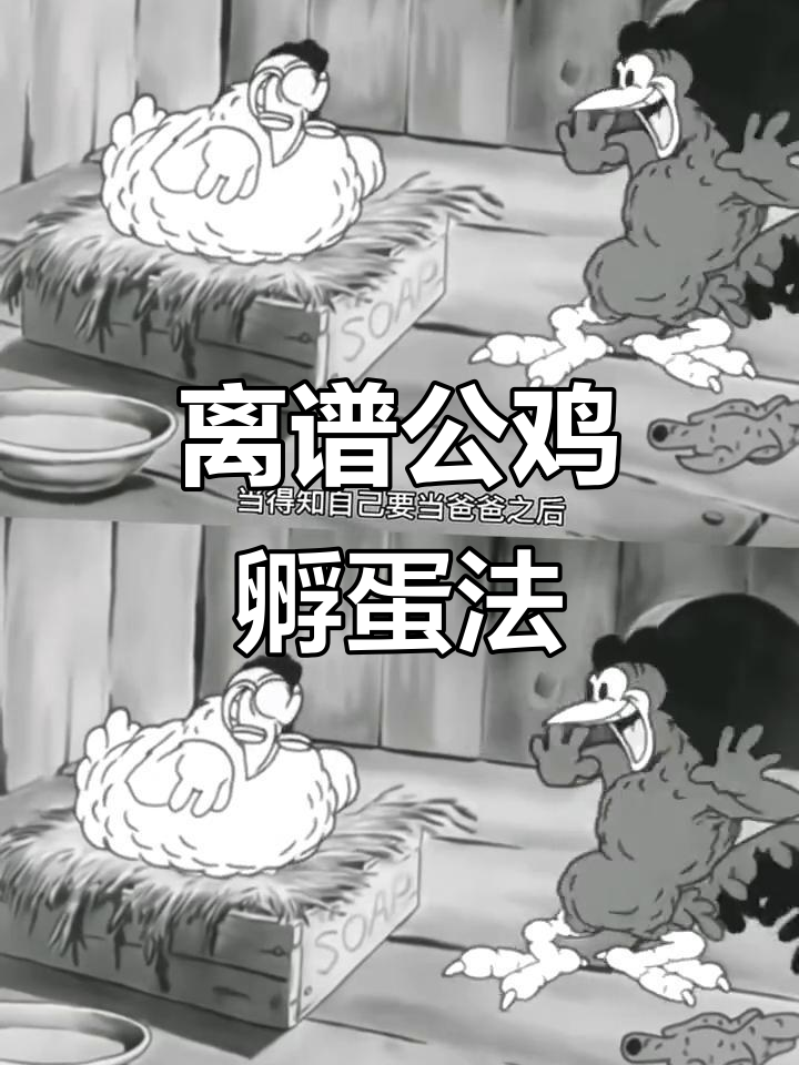 公鸡孵蛋用听诊器,六百只小鸡的奇葩诞生方式