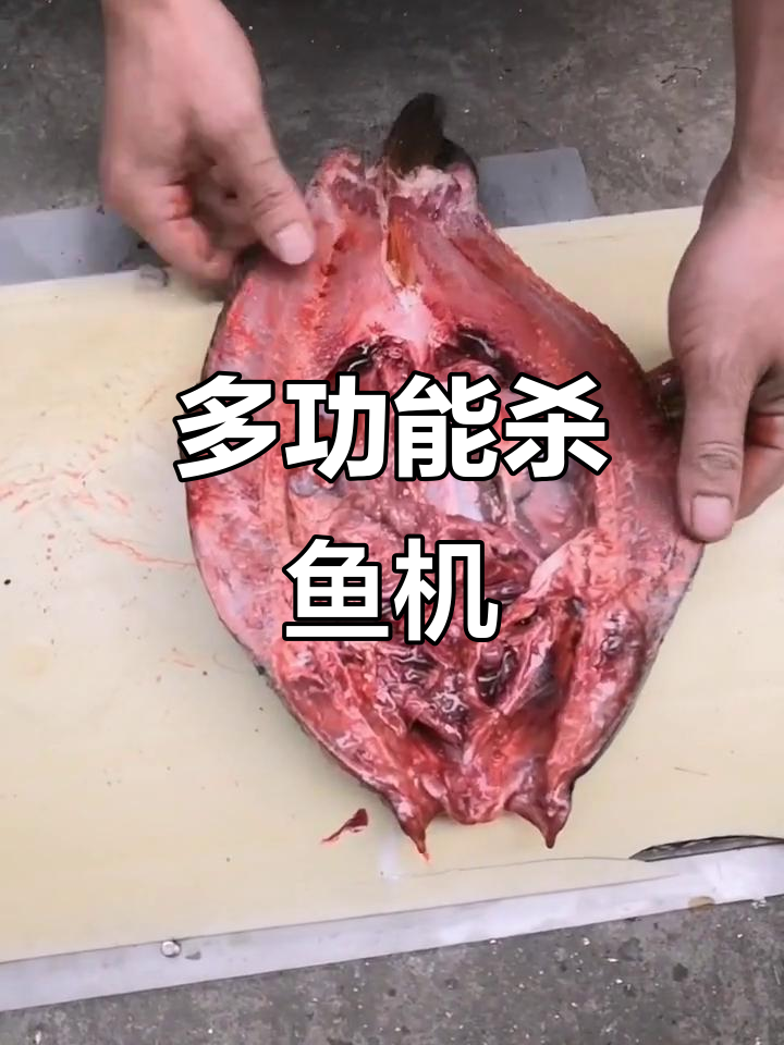 一台杀鱼机搞定多种任务,开背、去鳞都能轻松完成